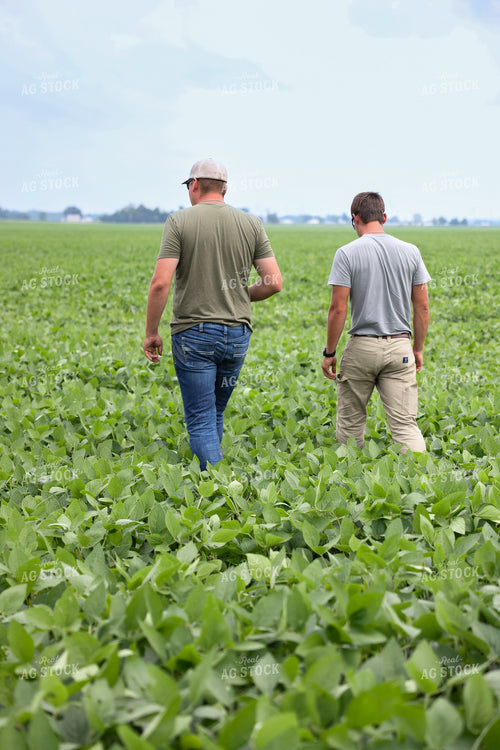 Scouting Soybeans 90129