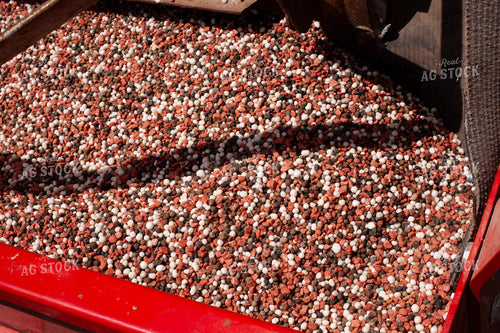 Winter Wheat Seed in Planter Box 132061