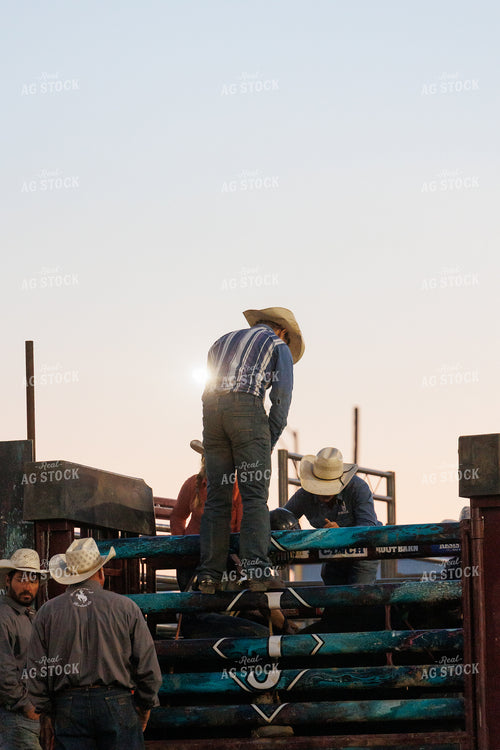 Rodeo 295154