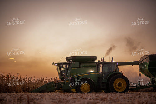 Corn Harvest 76342