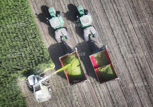 Aerial of Corn Silage Harvest 141393