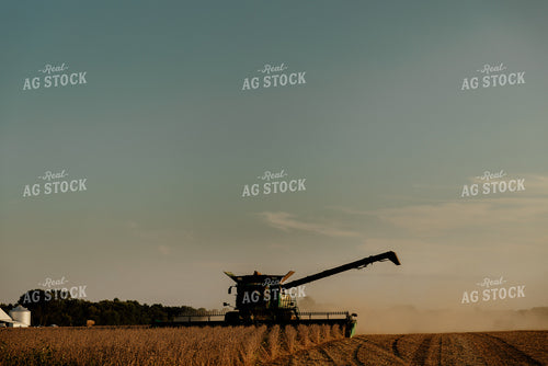 Soybean Harvest 9244