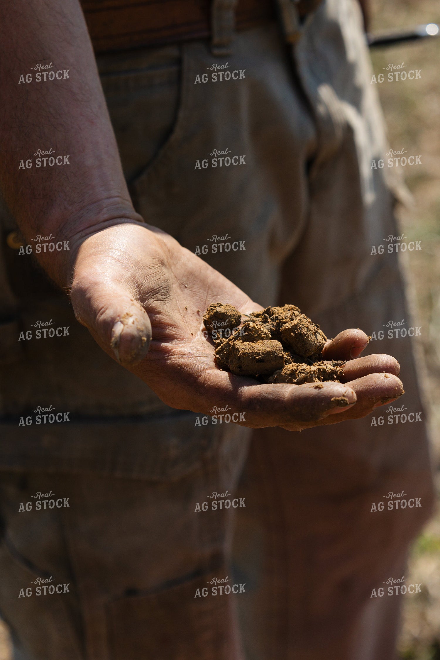 Farmer Taking Soil Samples 52806