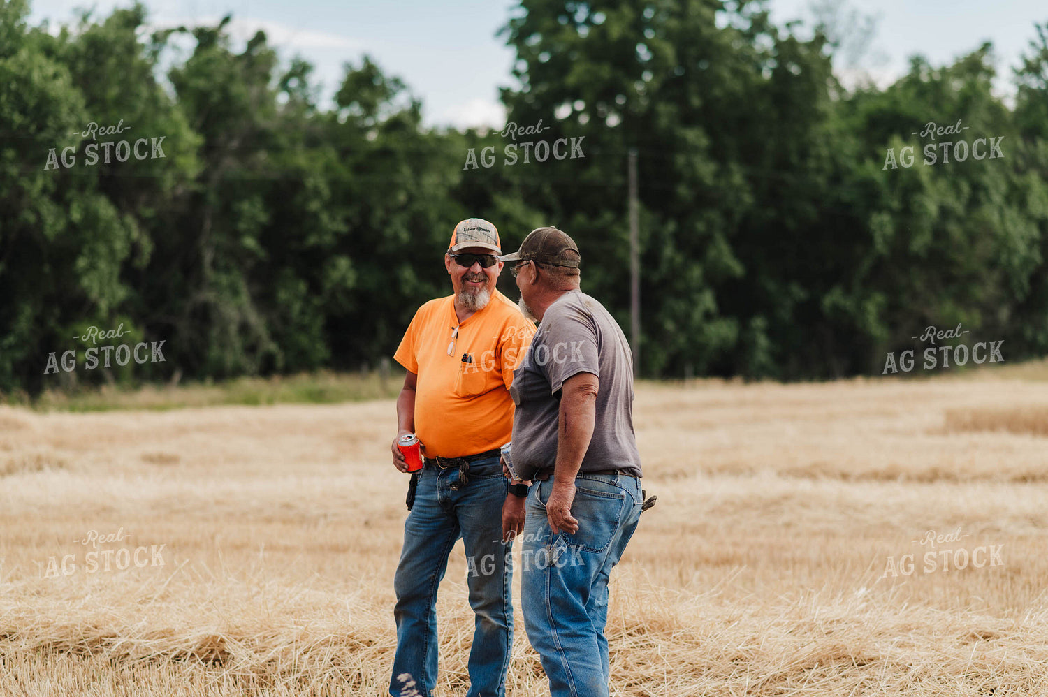 Farmers Talking in Wheat Field 115177