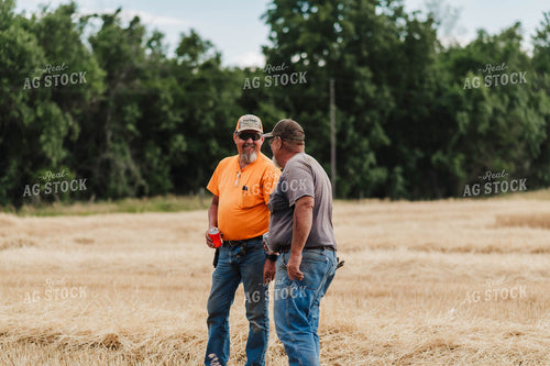 Farmers Talking in Wheat Field 115177