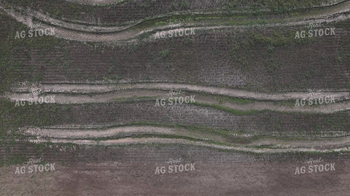 Vertical Tillage 239393