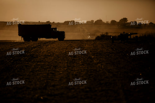 Harvest 2555