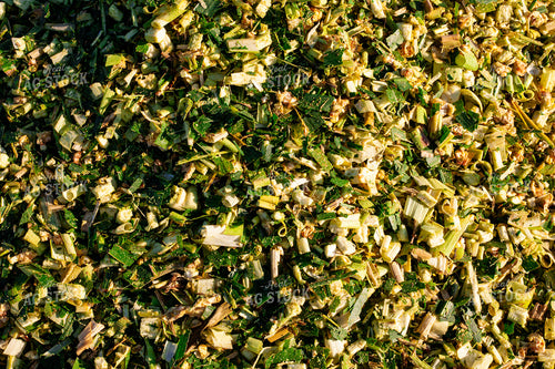Corn Silage 132093