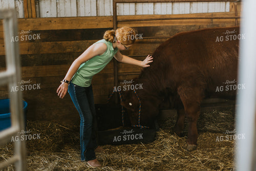 Farm Kid with Show Cow 7862