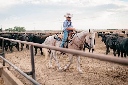 Ranch Kid on Horseback at Feedyard 218036
