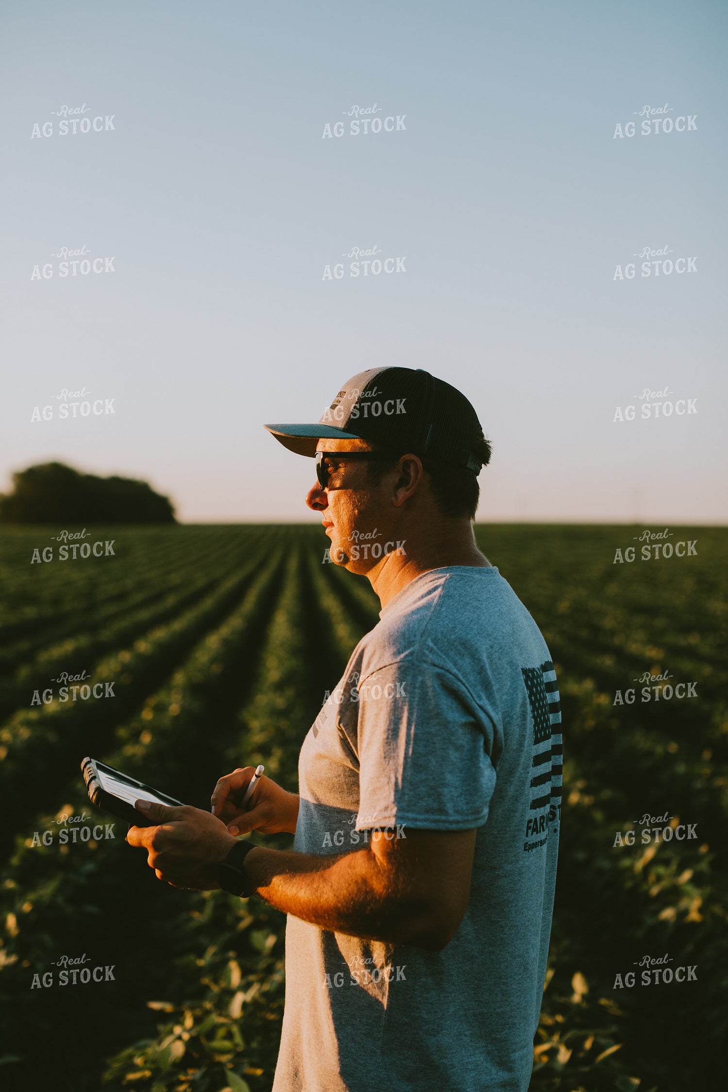 Farmer in Soybean Field with Tablet 6144