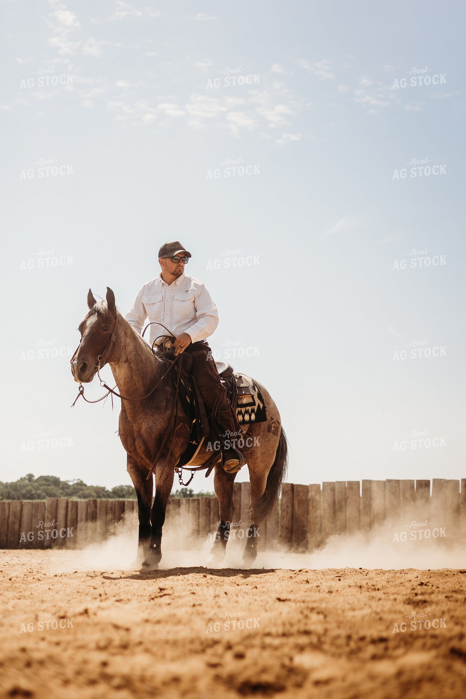 Riding Horse in Arena 281097