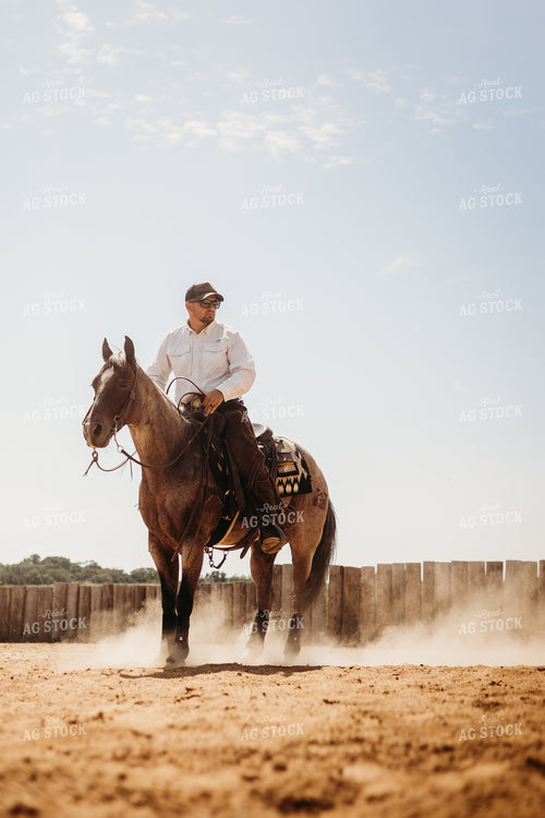 Riding Horse in Arena 281097