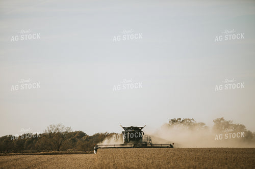 Soybean Harvest 7195