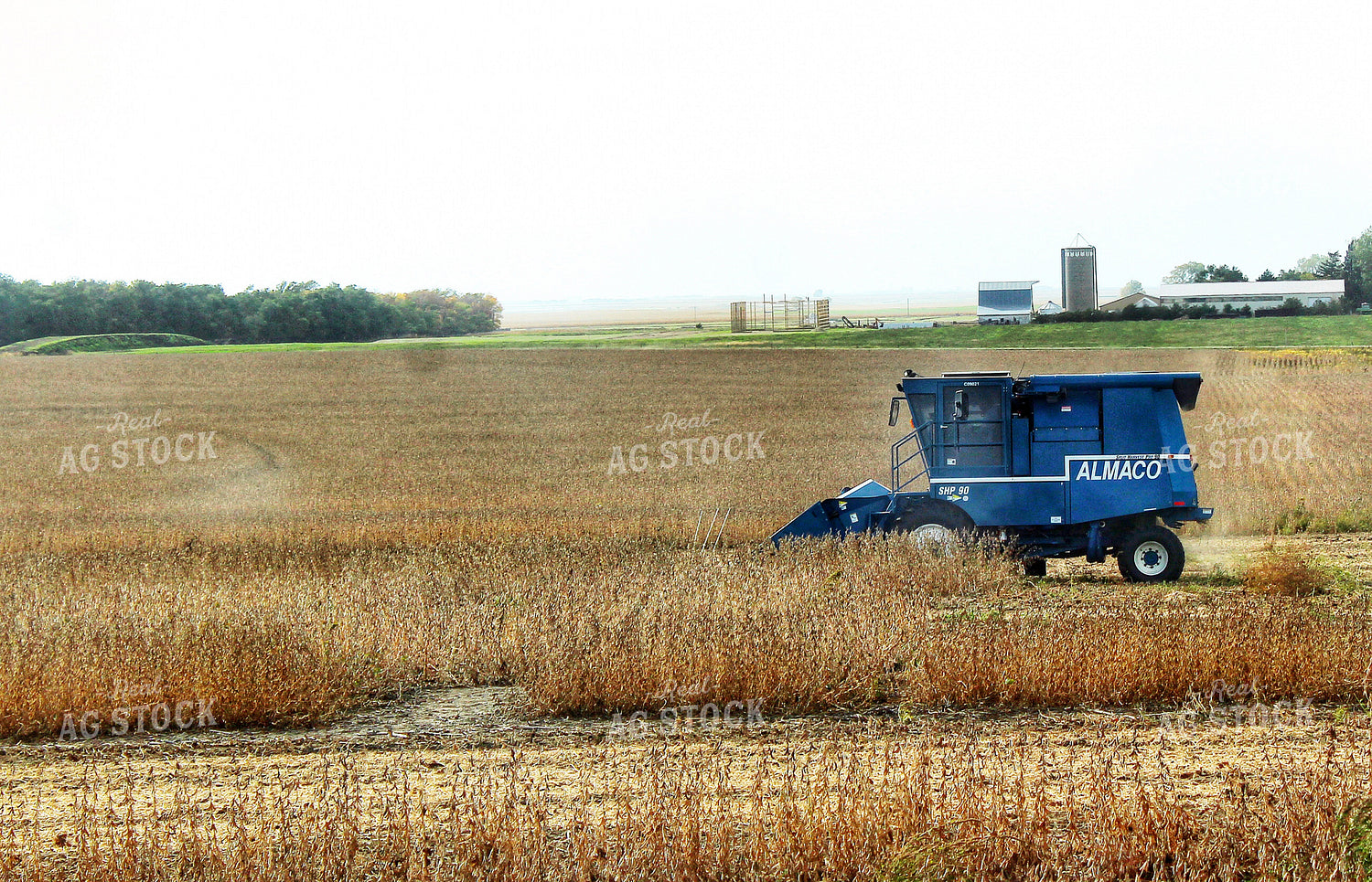Soybean Harvest 141068