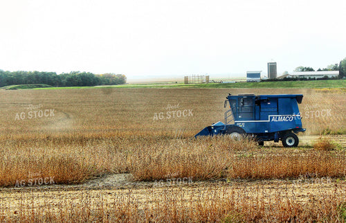 Soybean Harvest 141068