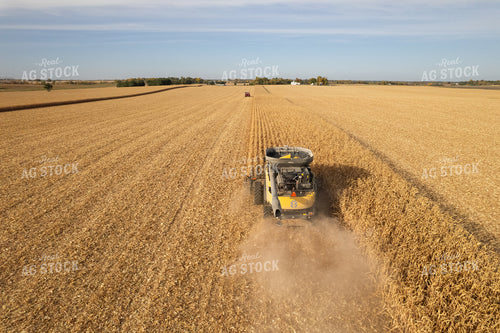Corn Harvest 255005
