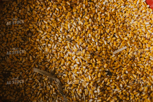 Feed Ration 7868