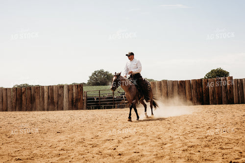 Riding Horse in Arena 281093