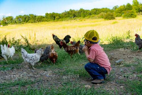 Farm Kid with Backyard Chickens 65217