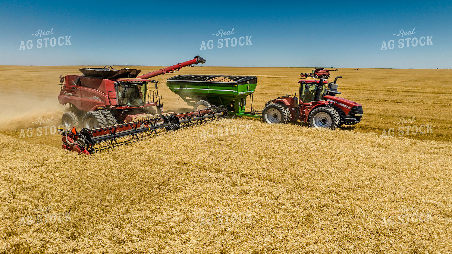 Wheat Harvest 199052