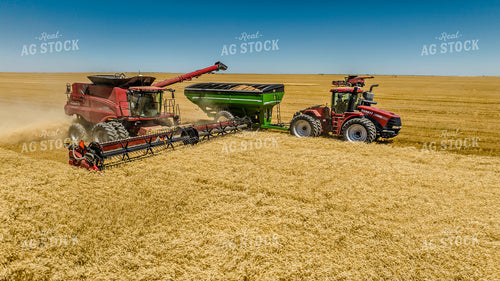 Wheat Harvest 199052