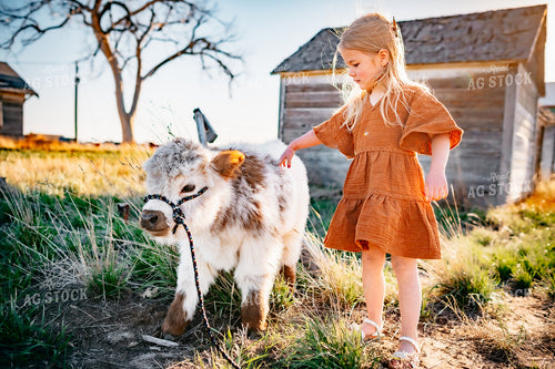 Farm Kid Petting Calf 56582