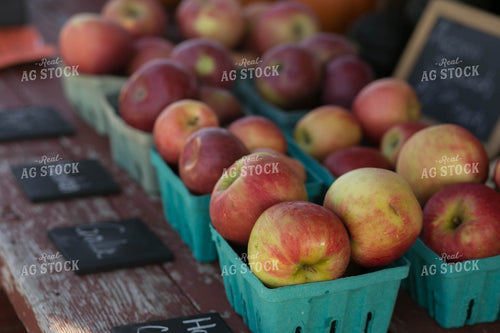 Apples in Punnet 73027