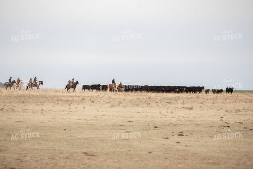 Cattle Corral 190005