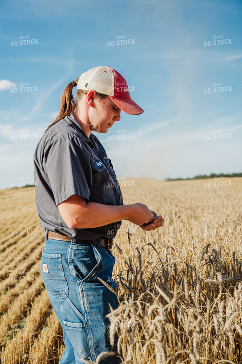 Female Farmer Sampling Wheat 115231