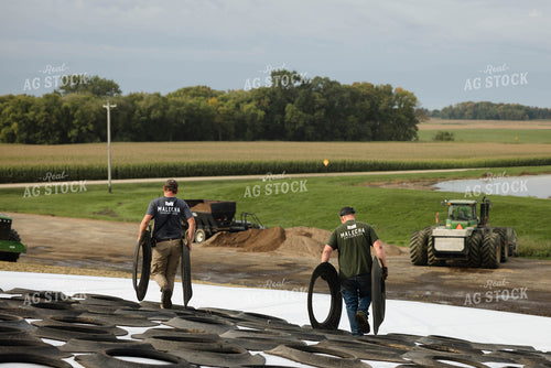 Storing Corn Silage 296011