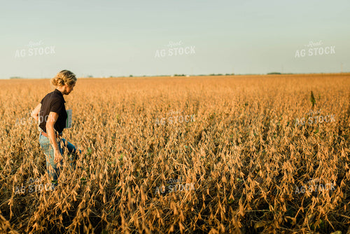 Female Agronomist Checking Beans 8301