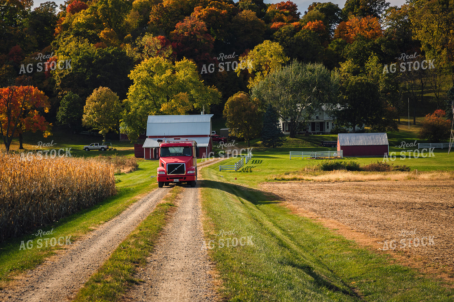 Semi by Field in Fall 153013