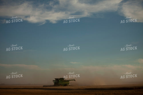 Wheat 2151
