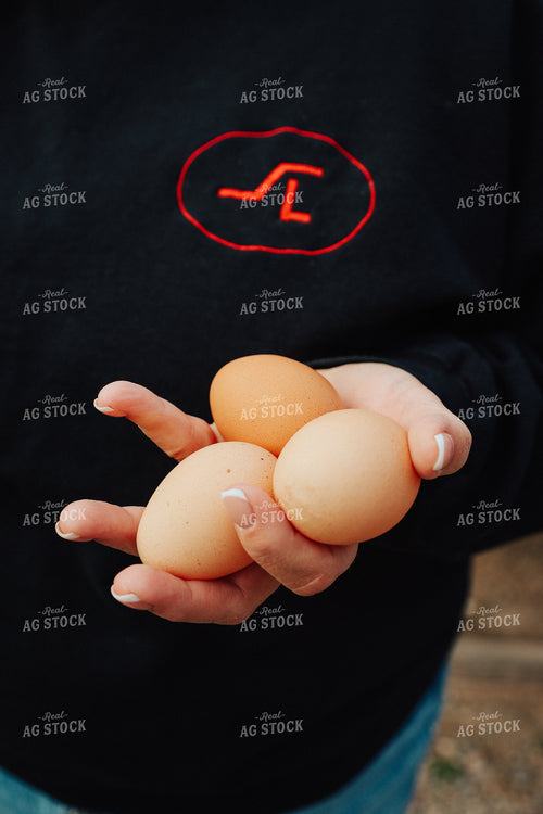 Eggs 83135
