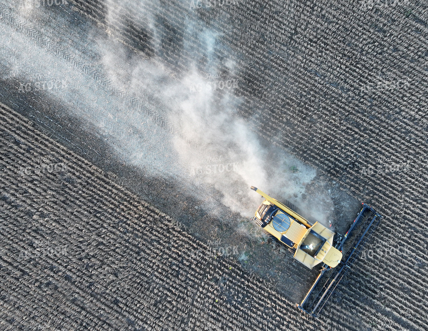 Soybean Harvest 141411