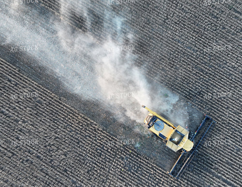 Soybean Harvest 141411