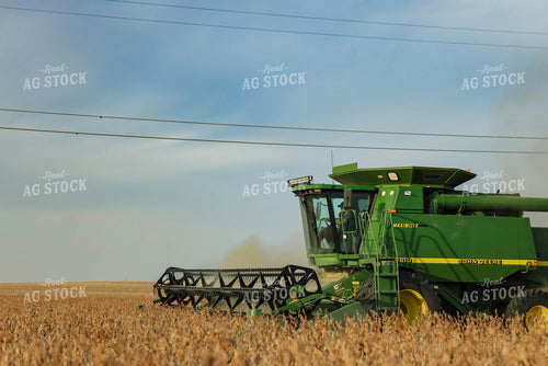 Soybean Harvest 152618