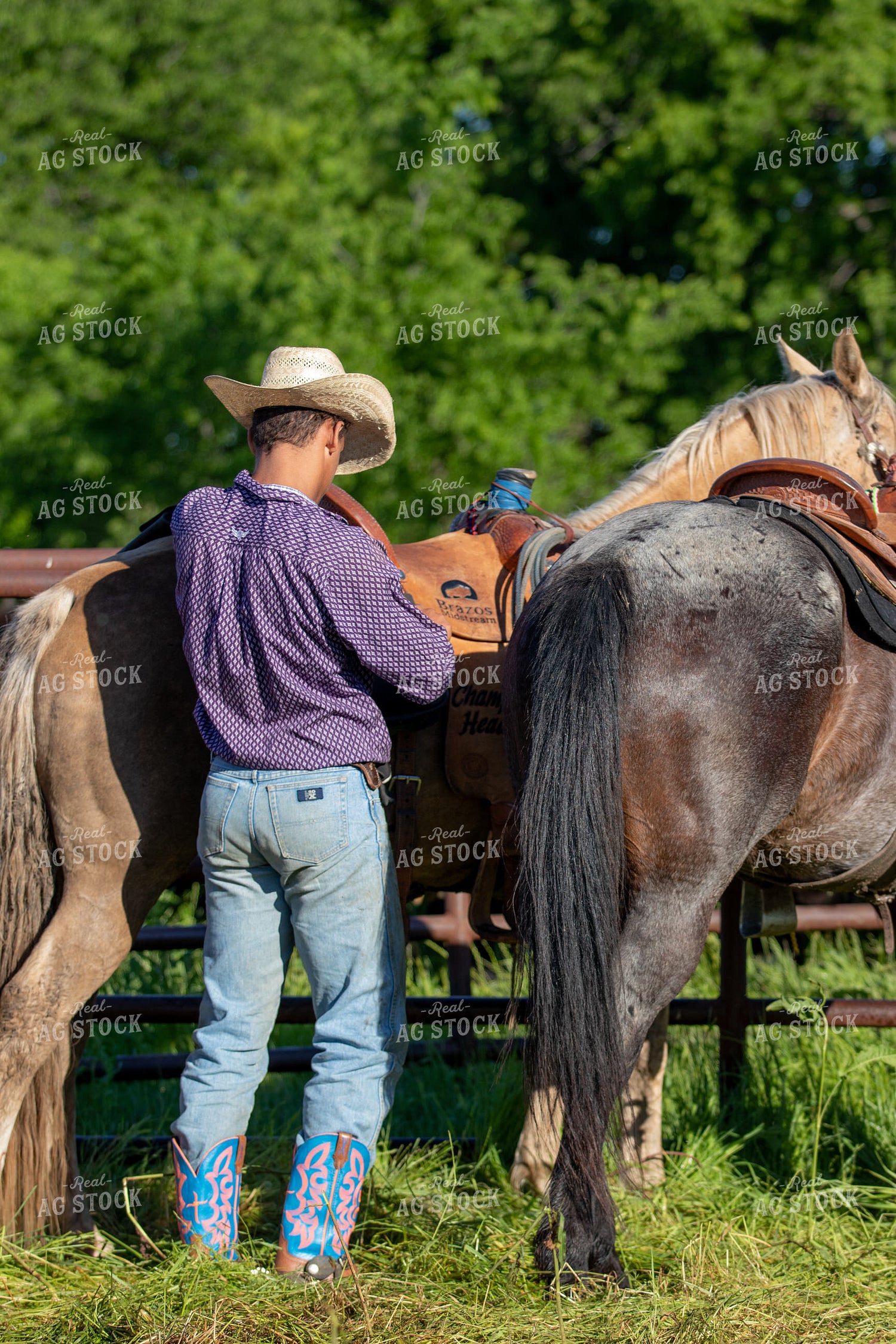 Rancher 175003