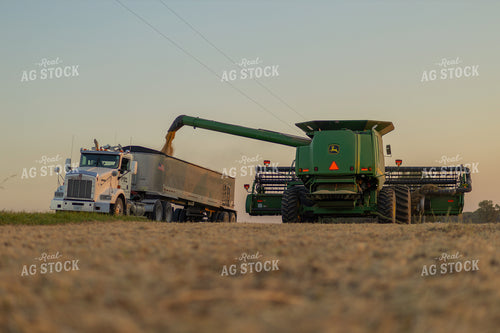 Soybean Harvest 93353
