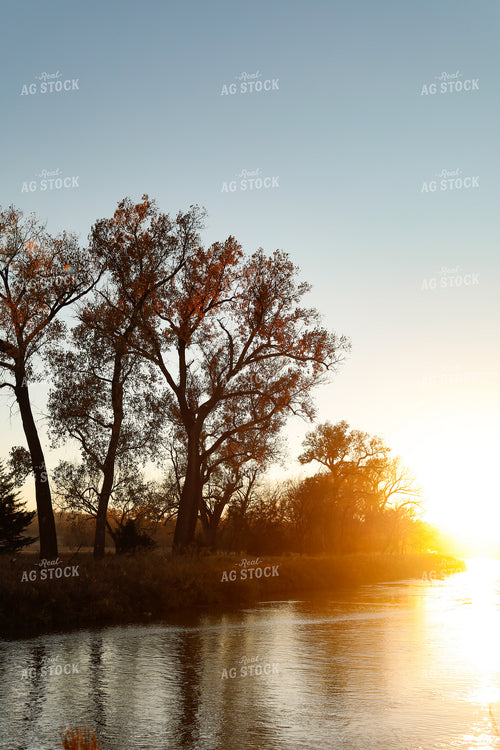 Trees Across Creek Landscape 123003