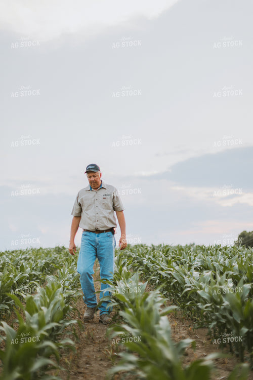 Farmers Scouting Corn Field 7810
