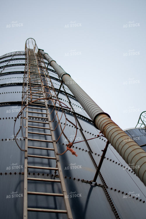 Ladder on Silo 50322