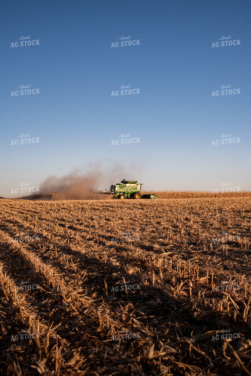 Corn Harvest 76711