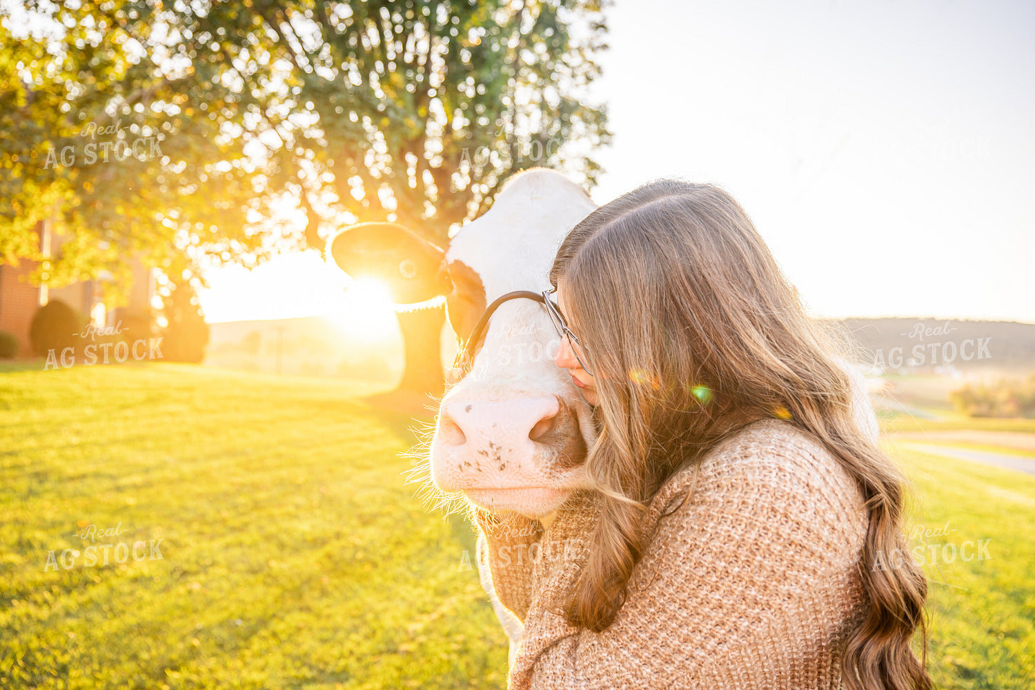 Farm Kid with Show Cow 270403