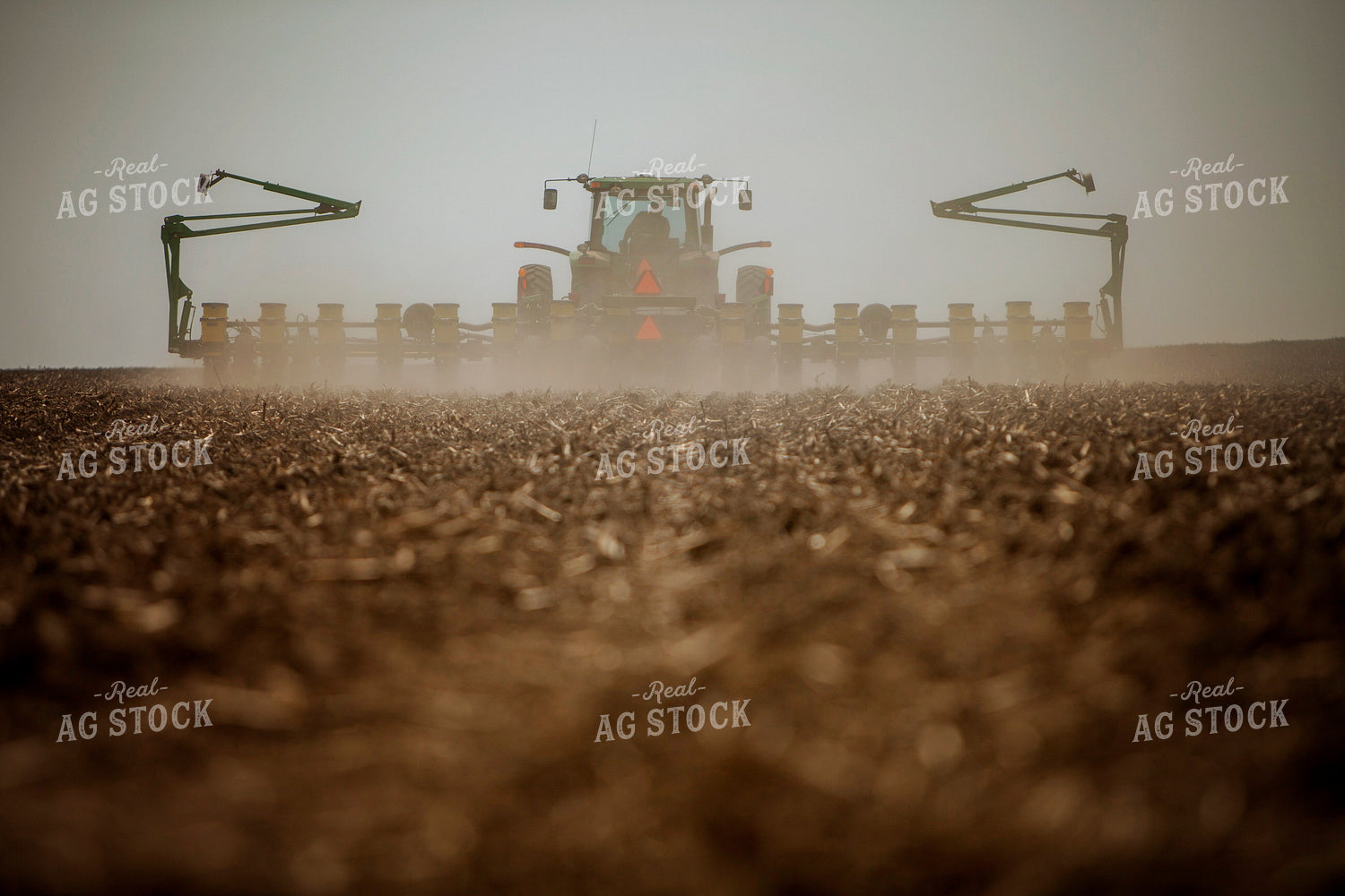 Planting 1962