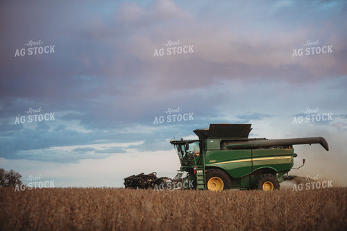 Combine Harvesting Soybeans at Sunset 3480