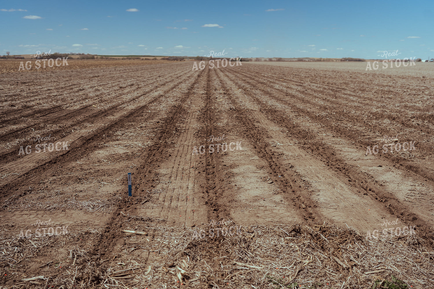 Freshly Planted Soil 196118