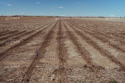 Freshly Planted Soil 196118