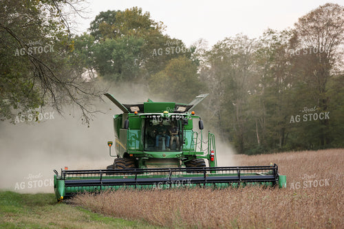 Combine Harvesting Soybeans 52256